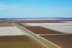 Cubbie Station, Fall 2015